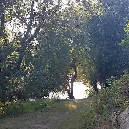 Paradise On The River ! *