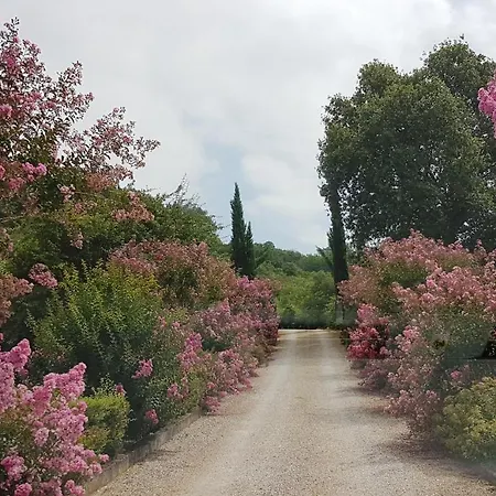 Paradise On The River ! Villa Villemur-sur-Tarn